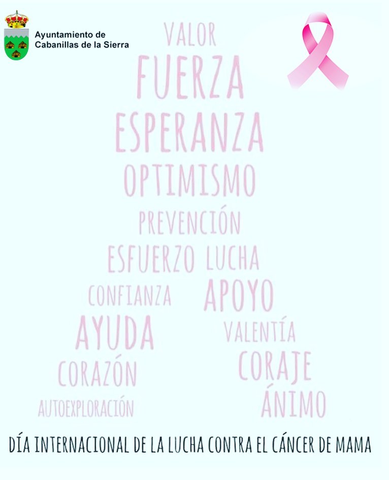 dia internacional cancer de mama