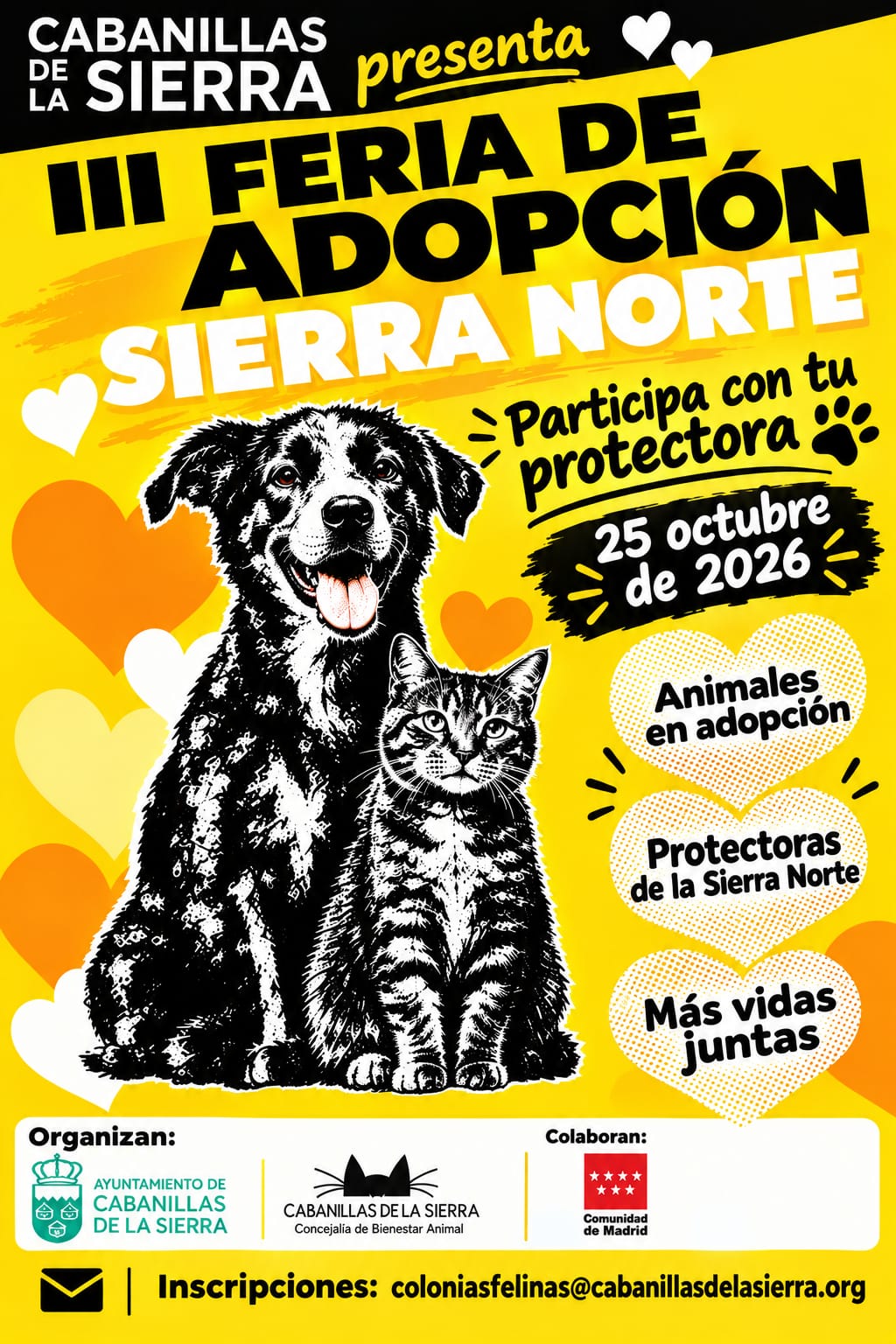 2a feria adopcion 2026 Cabanillas