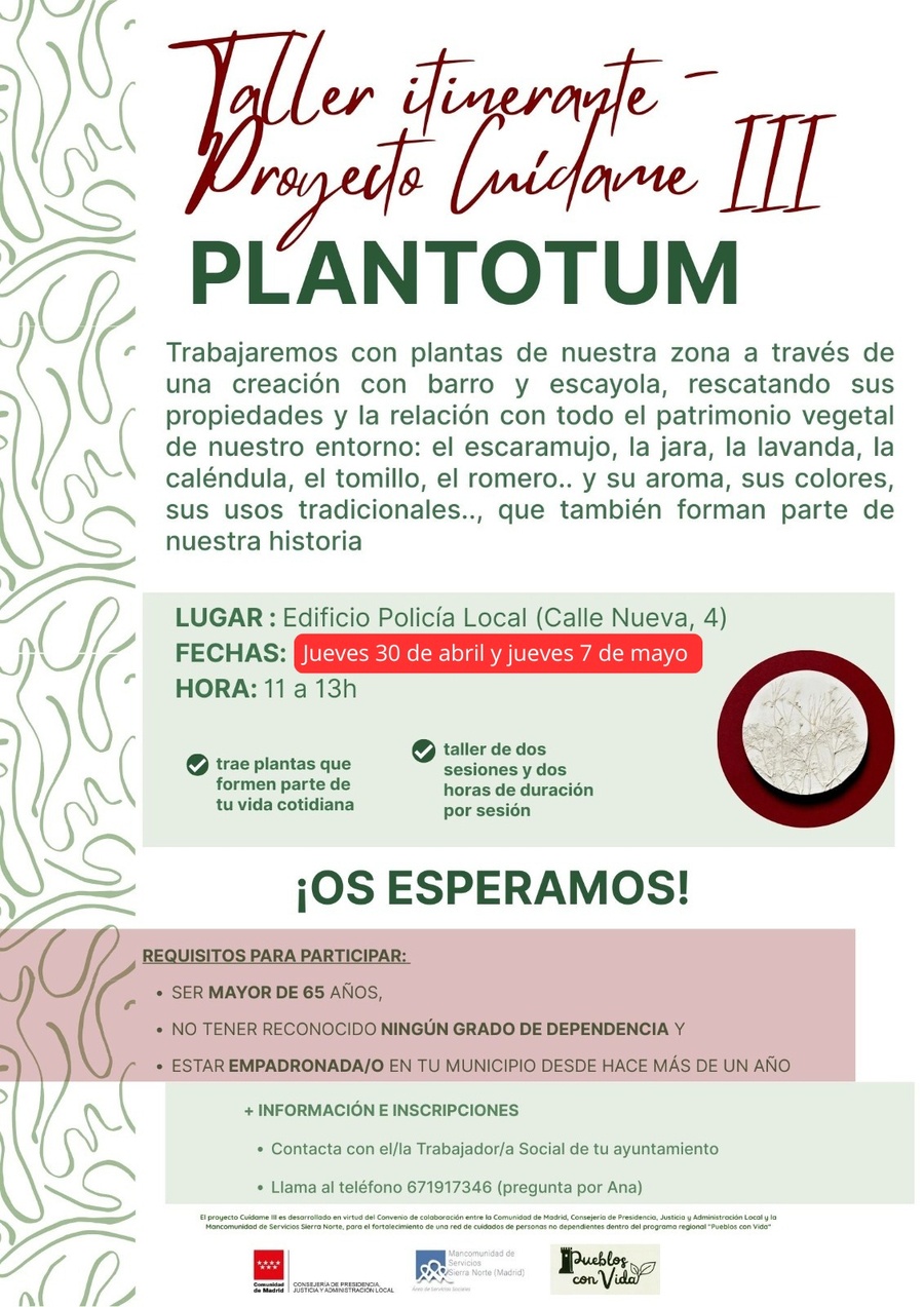 TALLER PLANTOTUM CABANILLAS