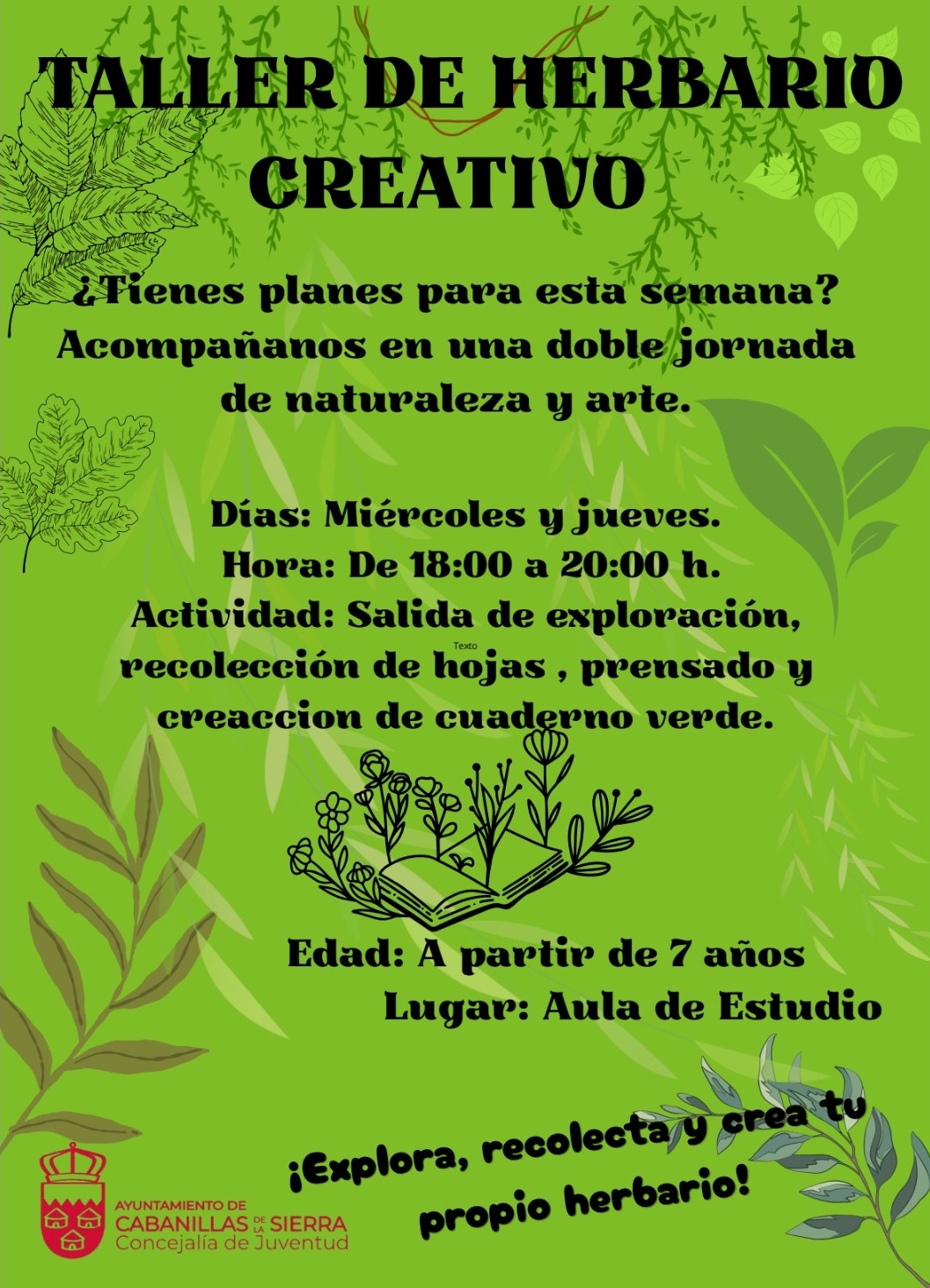 Taller herbario creativo agosto 26