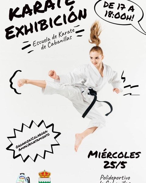 exhibicion-karate